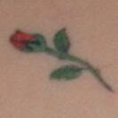 Rose Tattoo